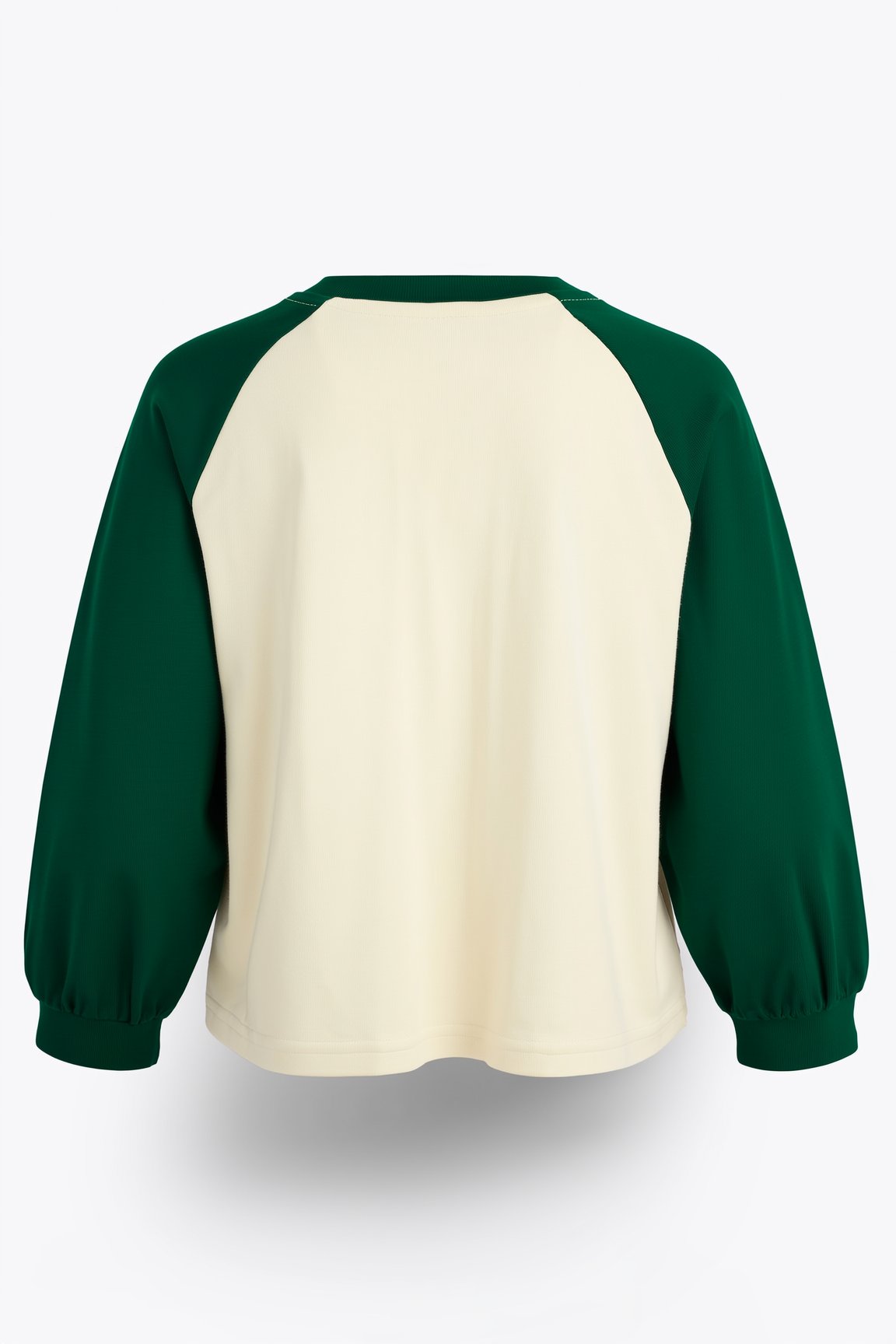 kids' Dinosaur Appliqué Raglan Sweatshirt