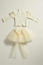 Ivory long-sleeved knit bodice and tulle tutu dress